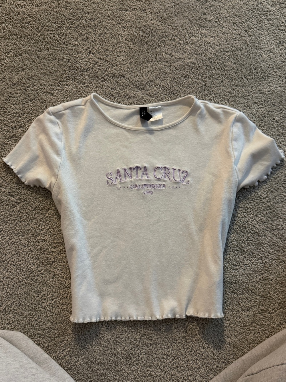 H&M White Crop Tee with Lavender Santa Cruz Embroidery